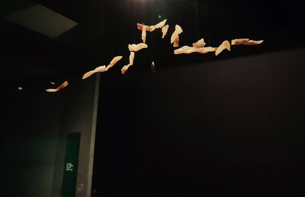 1675842265533518.jpeg image2.jpeg